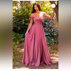 Beautiful Mauve Rose Ladavine Dress NWT